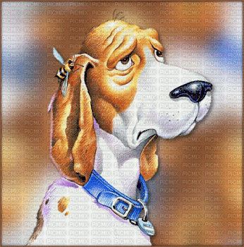 maj gif chien - GIF animate gratis