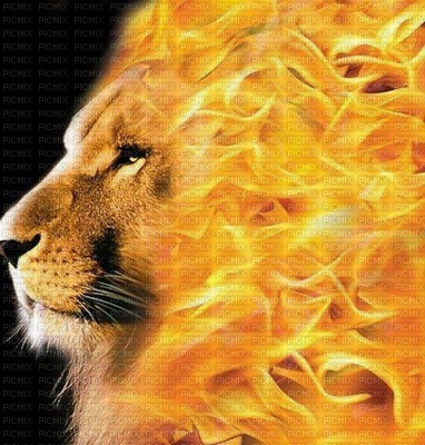 LION - фрее пнг