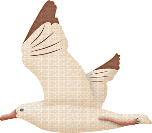Oiseau Blanc Brun:) - PNG gratuit