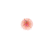 Feuerwerk - Ücretsiz animasyonlu GIF