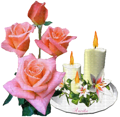 velas e rosas - Gratis animeret GIF