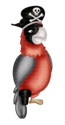 pirate parrot bp - besplatni png