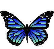 Papillon ** - GIF animado gratis