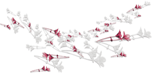 soave deco flowers branch scrap white pink - png ฟรี