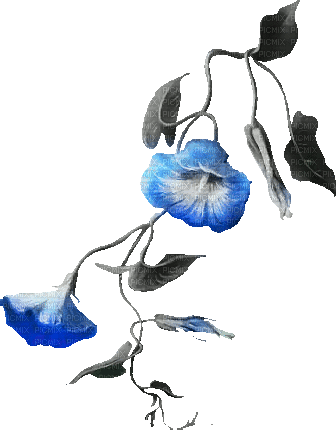 soave deco flowers branch animated  black white - GIF animate gratis