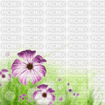 цветы - 免费PNG