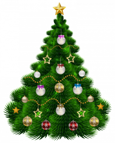 Christmas Tree - bezmaksas png
