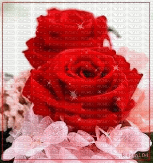 Rosas - Ilmainen animoitu GIF