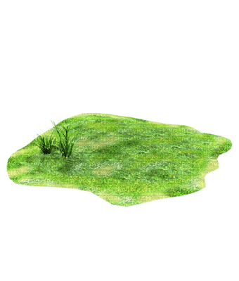 grass - kostenlos png