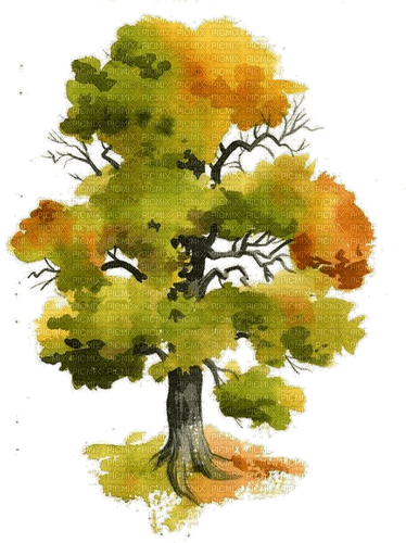 drzewo/akwarela - nemokama png