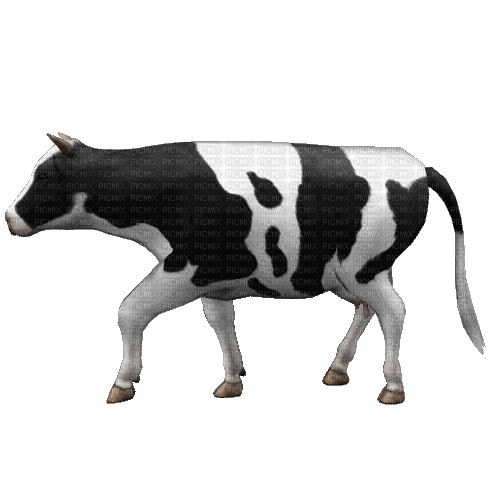 Walking Cow, cow , kuh , walking , animated , animal , tier - Free animated  GIF - PicMix