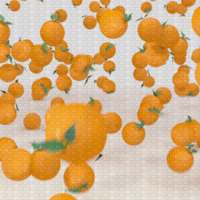 Oranges Background - GIF animé gratuit