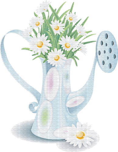 watering can  Bb2 - PNG gratuit