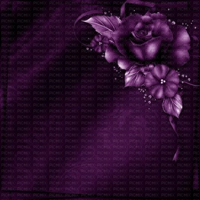 bg-frames-flower-Purple - PNG gratuit