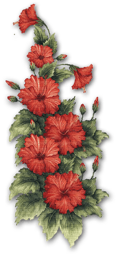 Flowers. - PNG gratuit