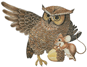 owl bp - png grátis