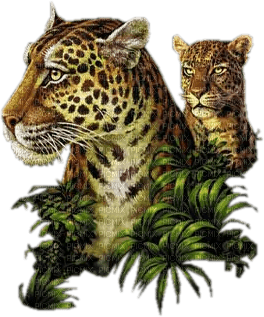 leopard bp - darmowe png