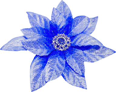 Christmas.Flower.Blue - png ฟรี
