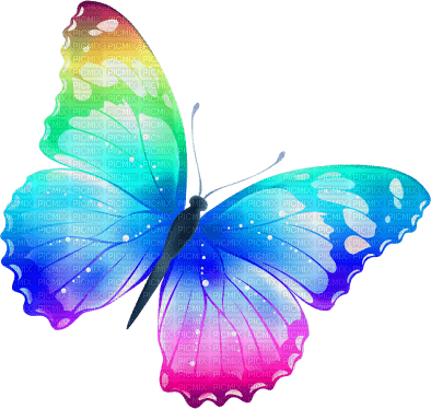 mariposa - nemokama png