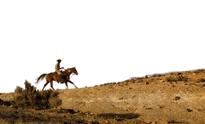 Cowboy - bezmaksas png
