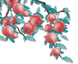 soave deco fruit apple branch pink teal - PNG gratuit