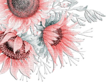 soave deco flowers corner branch spring sunflowers - Free PNG