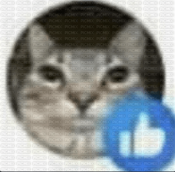 silly billy cat - δωρεάν png
