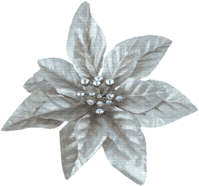 Kaz_Creations Christmas Deco Flower Leaves Leafs - PNG gratuit