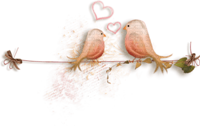 Tube Scrap-Décoration oiseaux - PNG gratuit