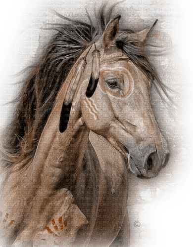 dolceluna vintage horse summer spring brown - δωρεάν png