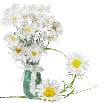 animated daisy - Ingyenes animált GIF
