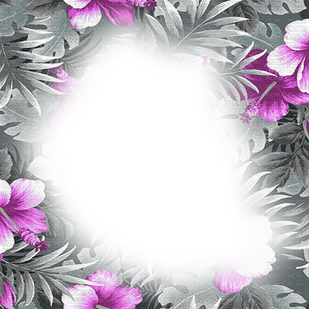 dolceluna tropical frame purple black white - 無料png