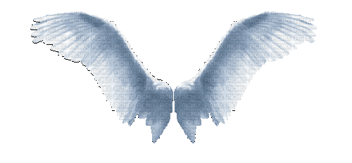 Крылья - Бесплатный анимированный гифка