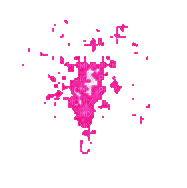 fet rose pink - Gratis geanimeerde GIF