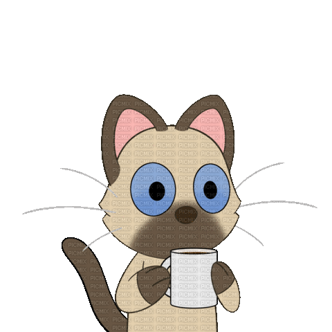 A cute cat drinking coffee - Animovaný GIF zadarmo