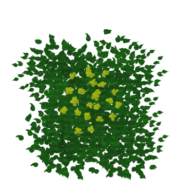 plant - Ingyenes animált GIF