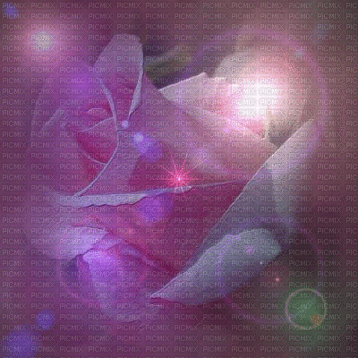 roses rosen rose flower fleur blumen pink fleurs   fond background hintergrund   gif anime animated animation