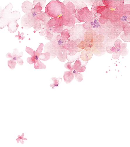 cherry blossoms Bb2 - Free PNG