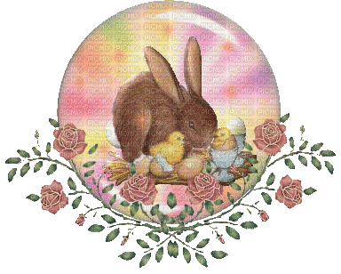 bulle lapin - Free animated GIF