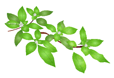 soave deco animated leaves spring summer green - Бесплатный анимированный гифка