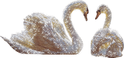glitter swans - Бесплатный анимированный гифка
