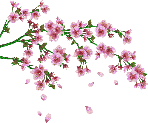 flowers blossom - Ücretsiz animasyonlu GIF