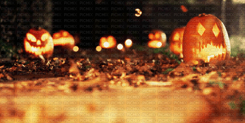 halloween pumpkin kürbis courge - Δωρεάν κινούμενο GIF