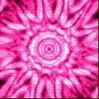 fo rose pink fond background encre tube gif deco glitter animation anime - Bezmaksas animēts GIF