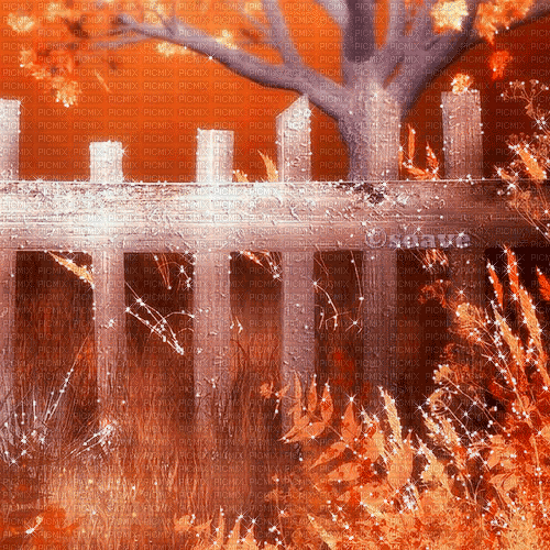 soave background animated autumn forest fence - 無料のアニメーション GIF