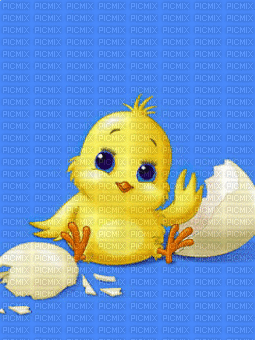 Cute Chick - 無料のアニメーション GIF