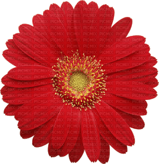 Fleur - бесплатно png