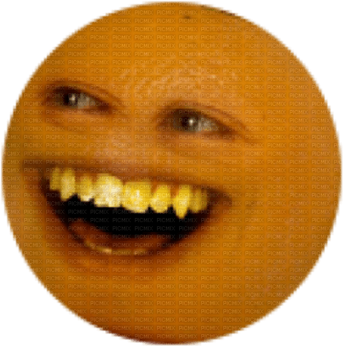 annoying orange - zdarma png