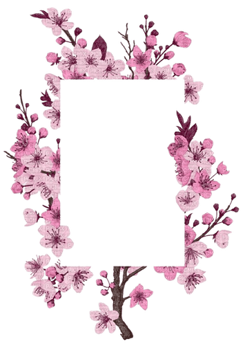 cadre cerisier - PNG gratuit