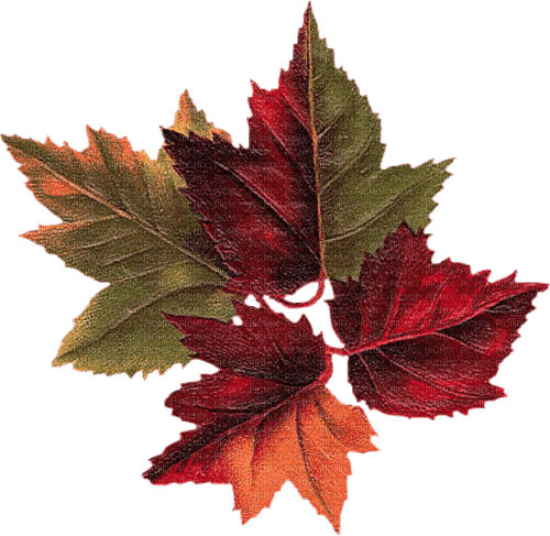 Autumn  Bb2 - Free PNG